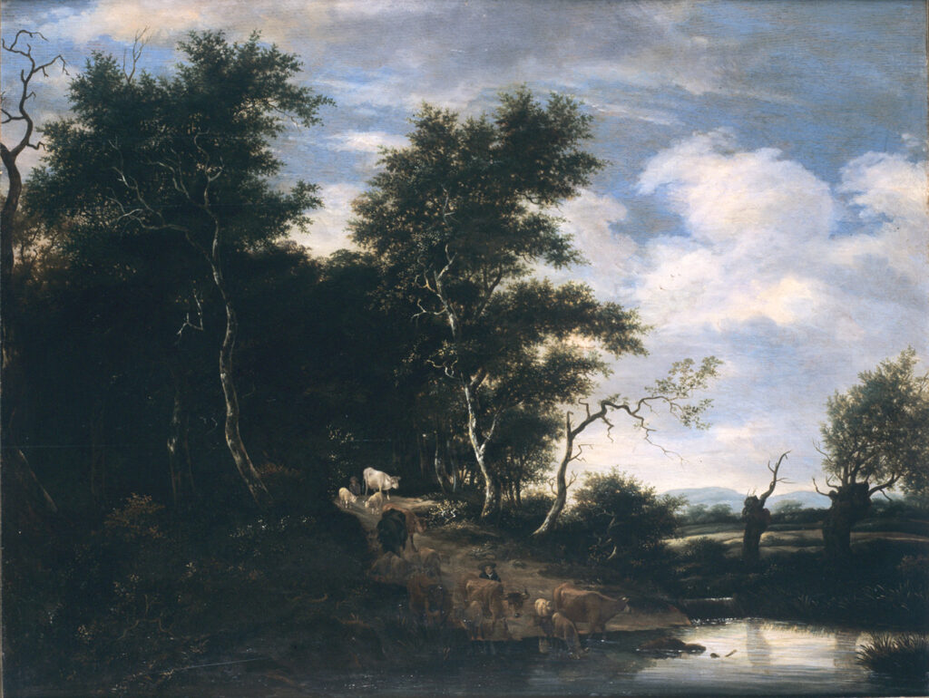 Collection du MusBA Bordeaux